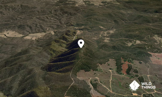 Numeralla Mountain