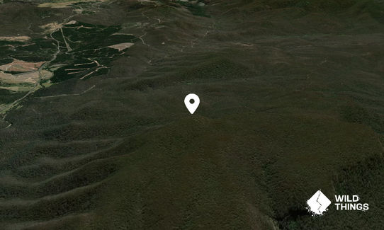 Nungatta Mountain