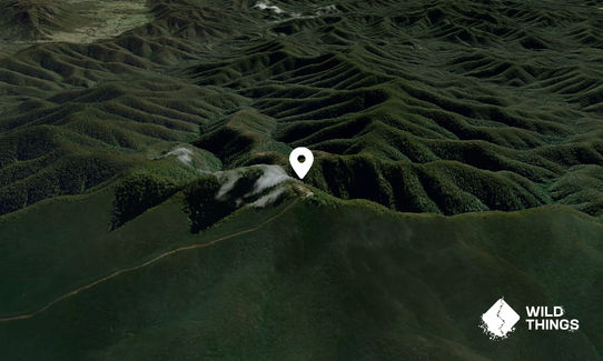 Peak Alone