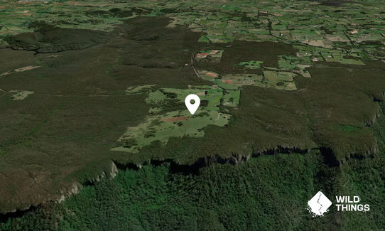 Red Hill