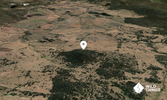Round Hill