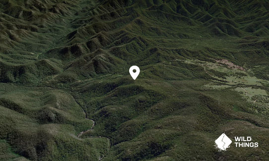 Spring Mountain
