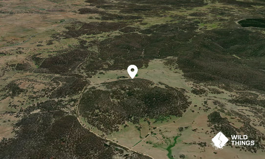 Thoko Hill