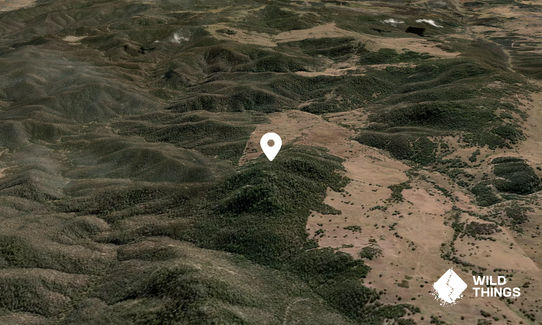 Wallaby Hill