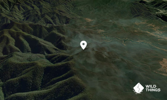 Warrigal Mountain