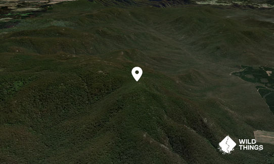Wog Wog Mountain