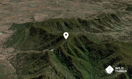 Bald Hill