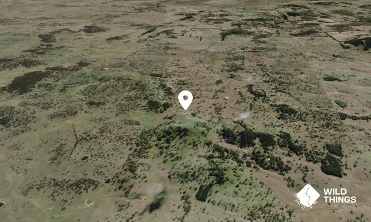 Bald Knob