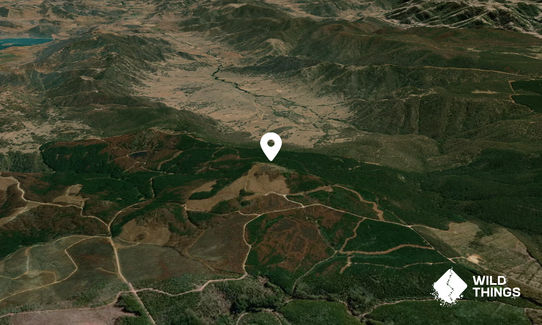 Baldy Knob