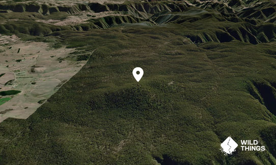 Baynes Mountain