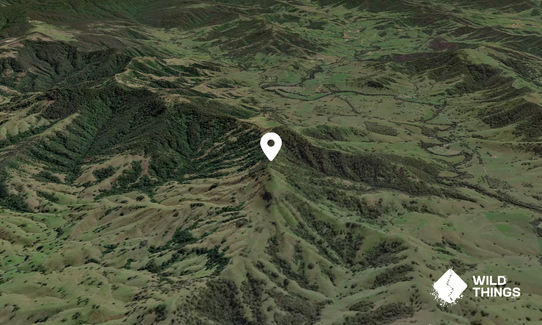 Belgrave Mountain