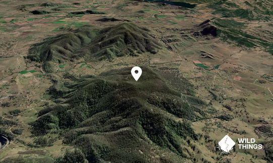 Bells Mountain
