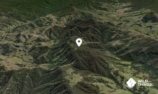 Big Black Jack Mountain