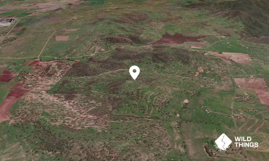 Big Dog Hill