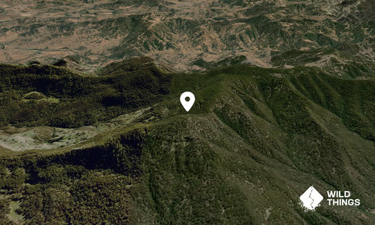 Big Jack Mountain