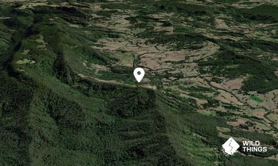 Billygoat Mountain