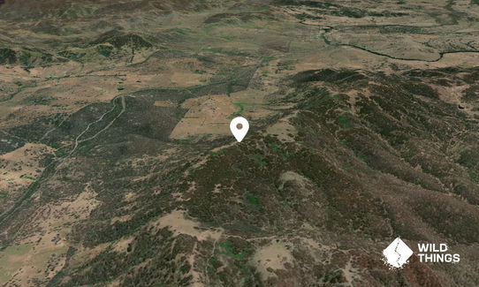 Black Jack Mountain