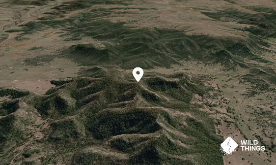 Black Jack Mountain
