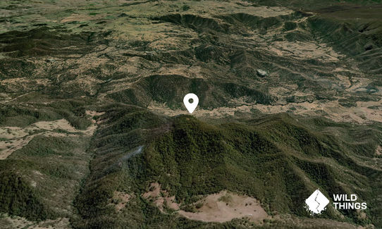 Black Mountain