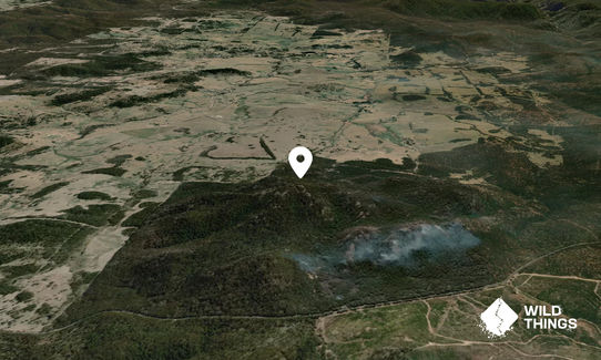 Black Mountain