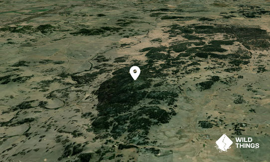 Black Mountain