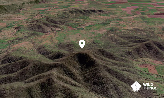 Black Mountain