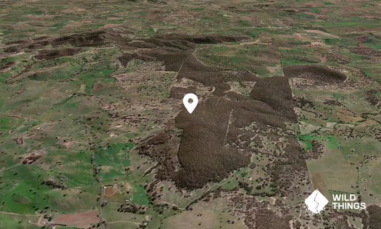 Black Mountain