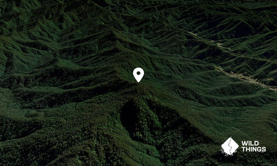 Blue Knob