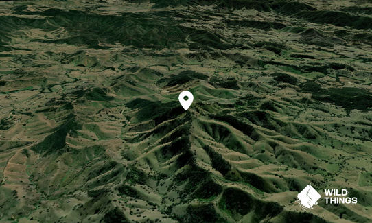 Blue Top Mountain