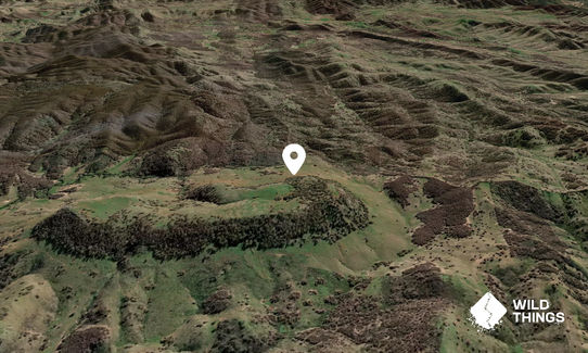 Boiga Mountain
