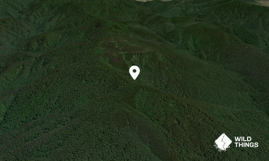 Boorers Knob