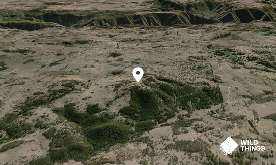 Borah Mountain