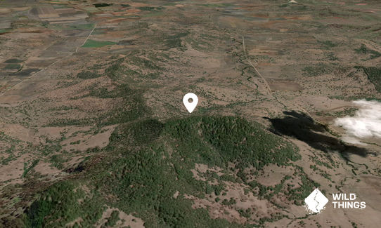 Brees Mountain