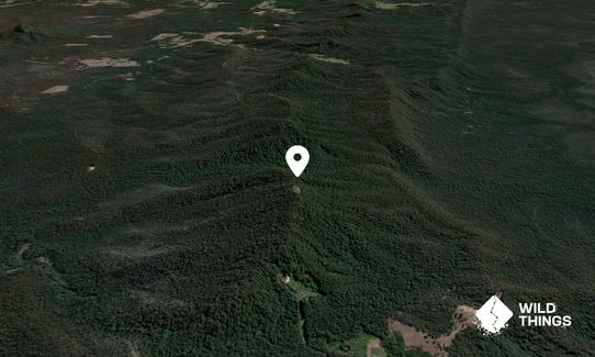 Browns Knob