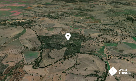 Bruces Hill