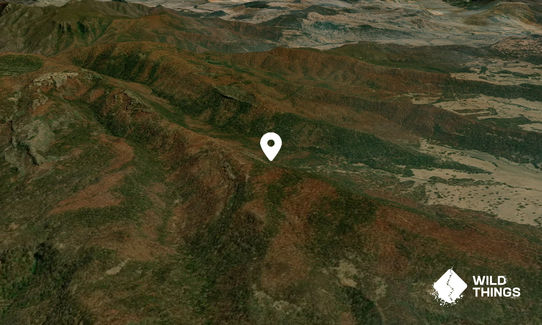 Bushy Mountain