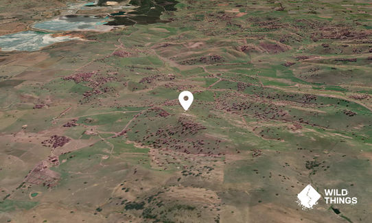 Cheesemans Mountain