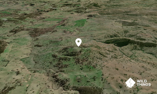 Cobrabald Mountain