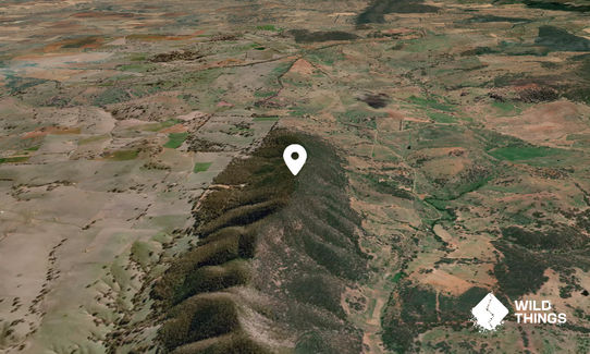 Columbine Mountain