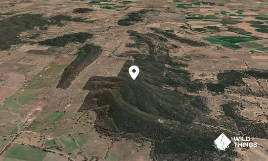 Conimbla Mountain