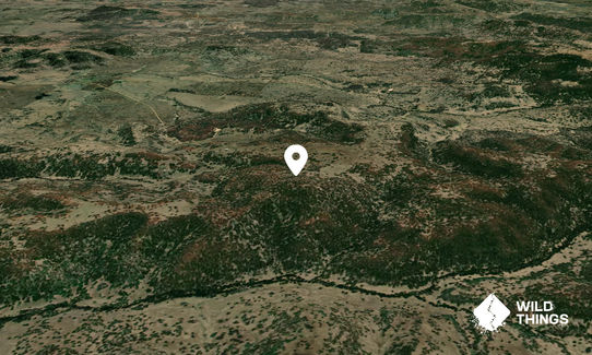 Cooks Mountain