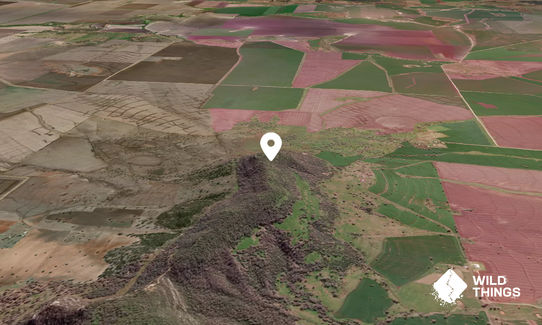 Coolanbilla Mountain
