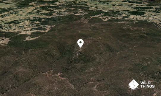 Crown Mountain