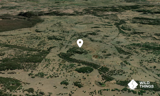 Death Adder Hill