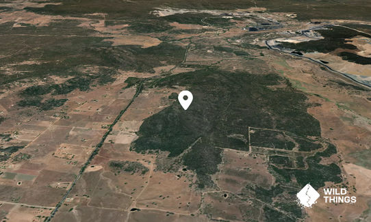 Dexter Mountain