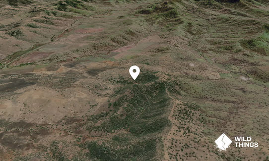 Diamond Mountain