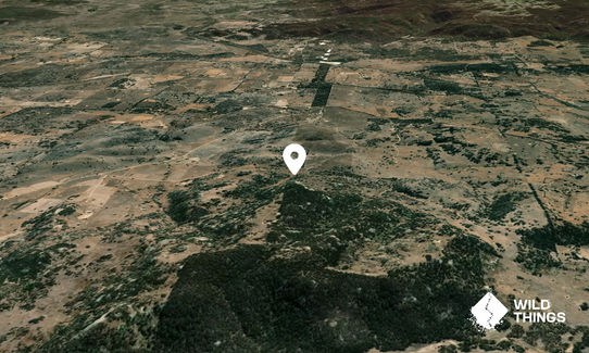 Doctors Nose Mountain