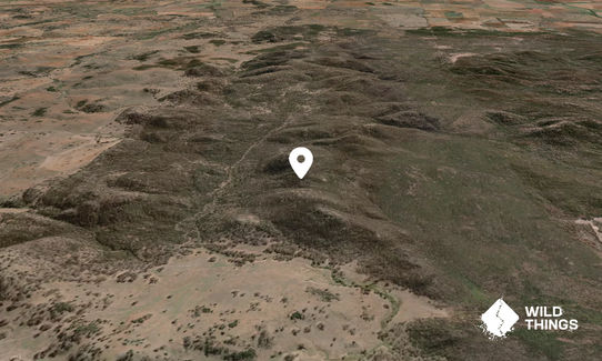 Dog Trap Hill