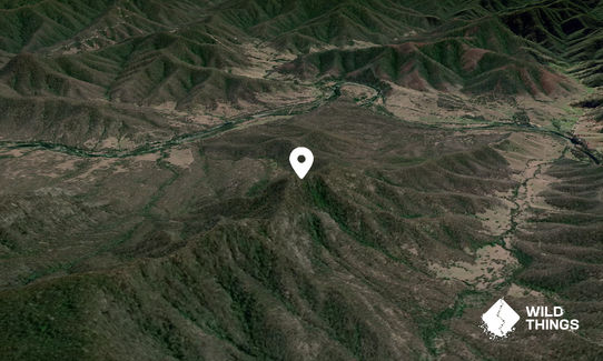 Duftys Knob