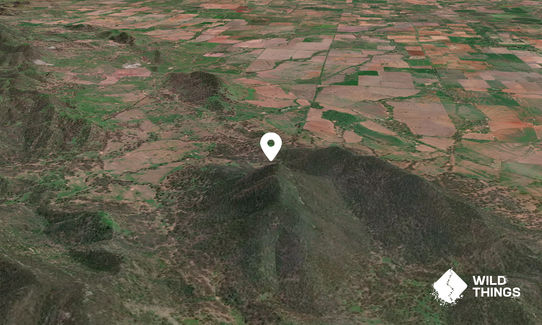 Duri Mountain